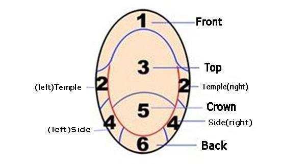 Template area distribution